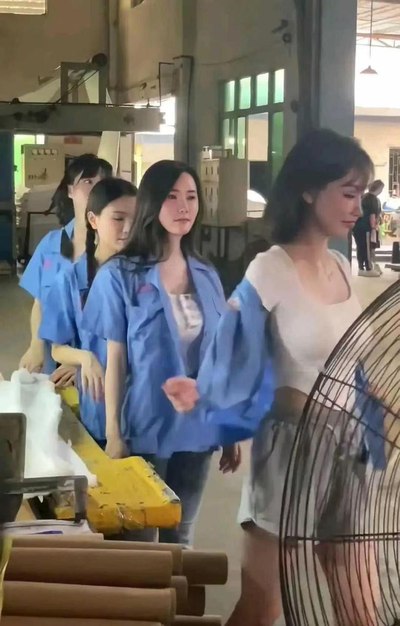 姐姐6免费完整高清电视剧在线看